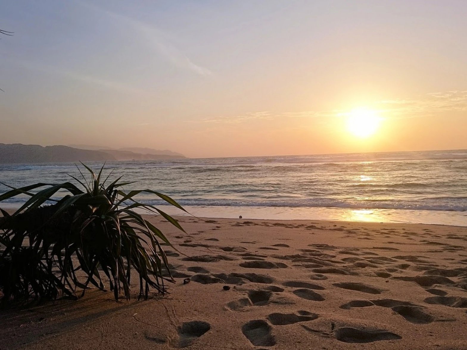 🏖️ 오하마 해변공원(오하마카이힌코엔) 이미지 6